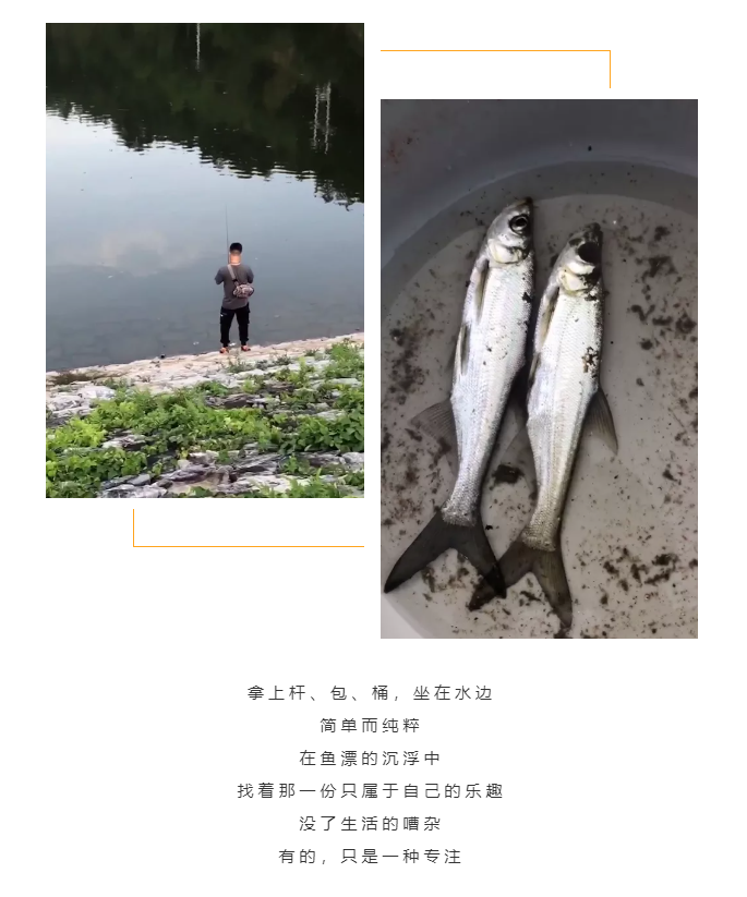 秋天了，來一場(chǎng)成年人的秋游吧(圖5)