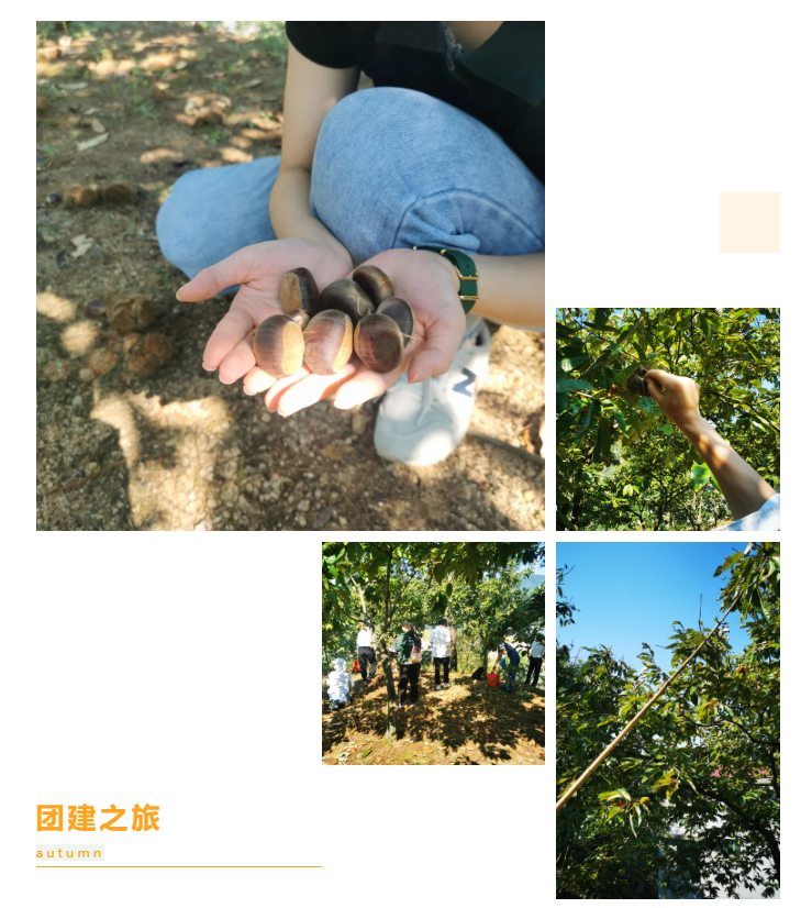 秋天了，來一場(chǎng)成年人的秋游吧(圖6)